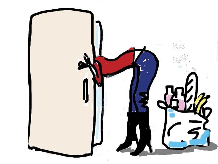 fridge